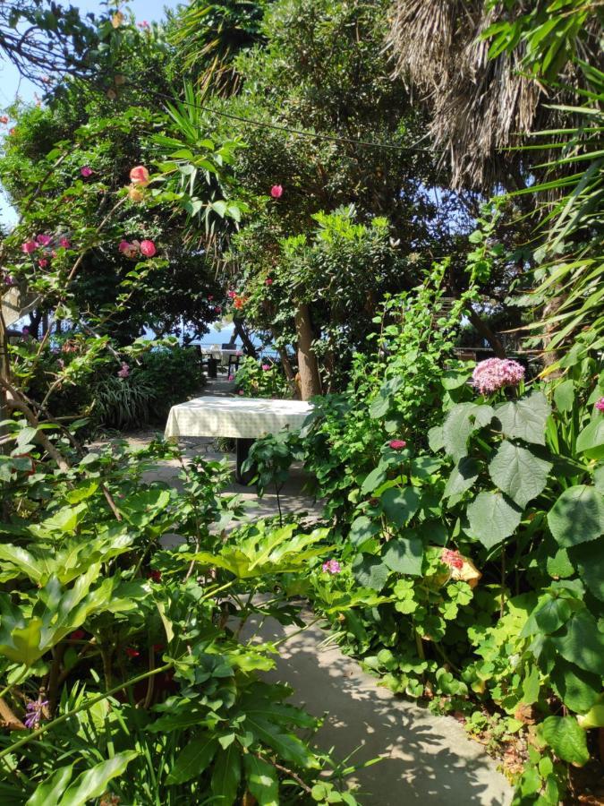 Alonaki Bay Apartment Halikounas Exterior photo